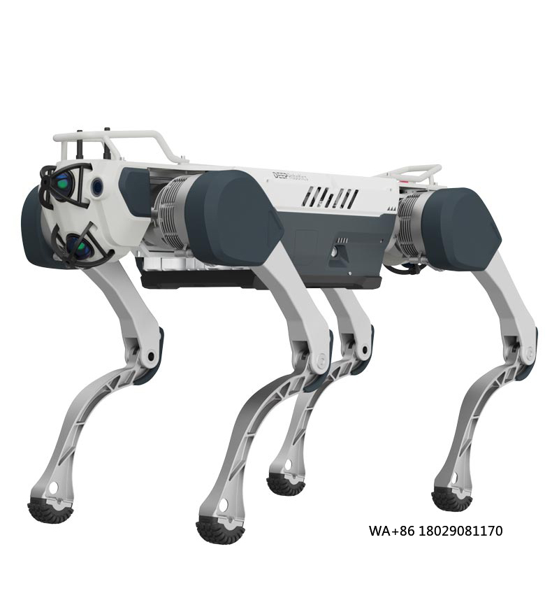 Achieving Artificial Intellige - đánh giá và giá Robot Remote Control